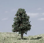 tree picture