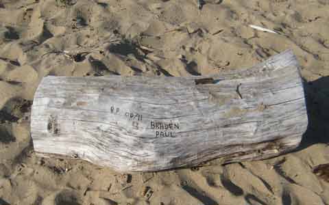 Apple Tree Hollow