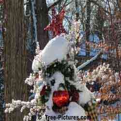 Christmas Tree: Christmas Tree Decorations