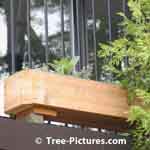 Cedar Wood porch planter box