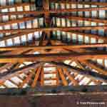 Cedar Tree Image: Cedar Wood Rafters or Timbers Create an Architectual Interior Roofing Structure and Ceiling Finish, Bermuda Church | Cedar:Roofs at Tree-Pictures.com