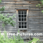 Cedar Tree Wood Picture: Cedar is Weather Resistant and used for Exterior Fence Rails| Tree-Pictures.com