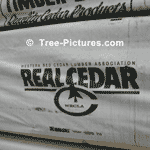 Western Red Cedar Lumber Assocaition Logo and Packaging