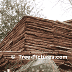  Solid Split Rail Wood Cedar fence privacy| Tree-Pictures.com