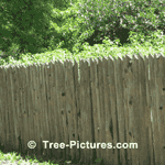 Rustic Cedar Tree Fence made from Rough Cut Cedars with Bark Left on