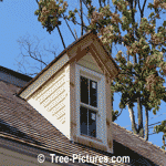 Cedar Roof: Cedar Wood Shingles or Shakes are a Upscale Traditional Architectual Roofing Wood | Cedar:Roofs at Tree-Pictures.com