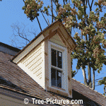 Cedar Roof: Cedar Wood Shingles or Shakes are a Upscale Traditional Architectual Roofing Wood  | Cedar:Roofs at Tree-Pictures.com