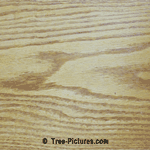 Oak Wood Grain, 10 inch wide Oak Wood Grain Photo Example