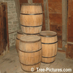 Oak Barrel: Oak Tree is Used to Create Oak Barrels to Hold Water, Liquor andTtransport other liquids and Hard Goods
