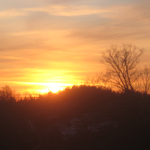 Tree Sunset Picture