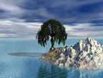 willow tree picture