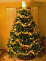 christmas tree picture