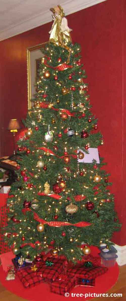 Impressive Christmas Tree Picture, Well Decorated Christmas Tree with Presents