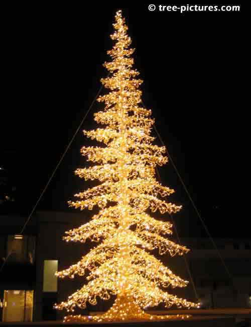 Impressive Christmas Tree Picture, Impressive 30 Foot Tall Yellow Chistmas Tree