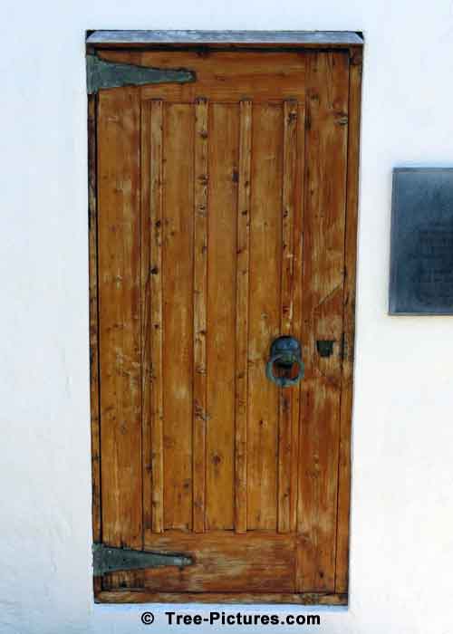 Cedar Tree Pictures, Old 1600 Century Cedar Church Door - Bermuda