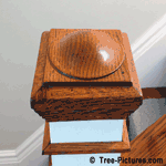 Oak Stair Post, Oak Tree Wood Grain Photo Example